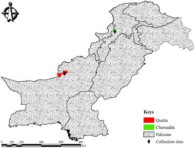 First record of Alectorobius coniceps (Ixodoidea: Argasidae) and Dermacentor sp. (Ixodoidea: Ixodidae) in Pakistan